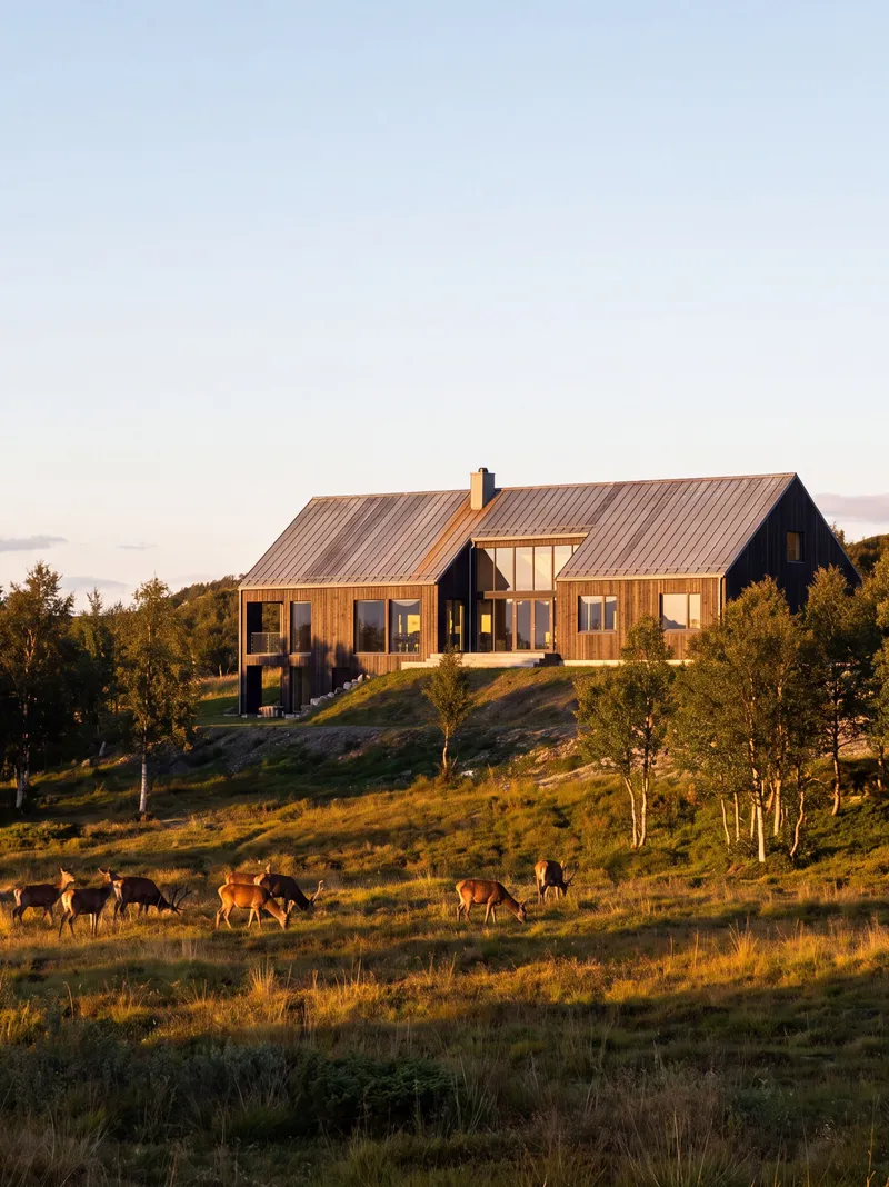 Render of a barn-style timber house at golden hour with grazing deer